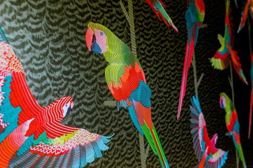 Motif textile perroquets colorés à l'Hôtel Maison Clémentine, Fort-de-France