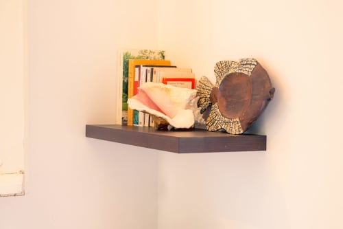 Étagère en bois foncé garnie de livres colorés, d'objets de décoration et d'éléments naturels au cottage Le Nid De Bellemont