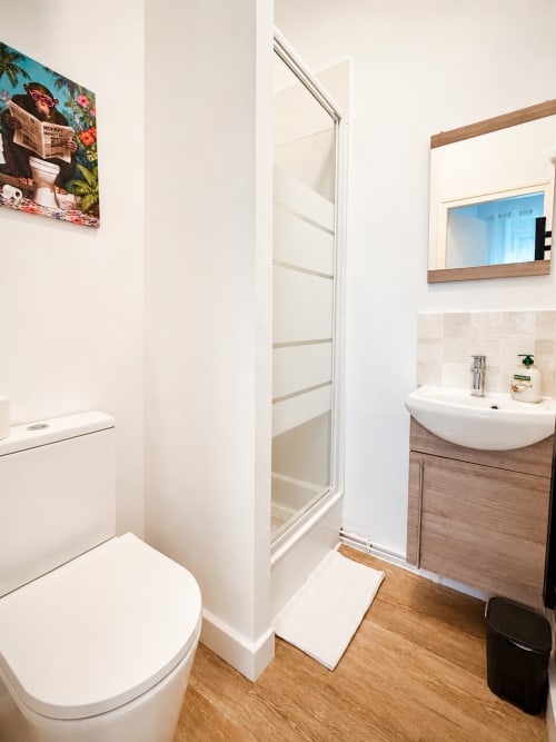 Salle de bain moderne de l'appartement Nancy-Place O-01 avec douche, toilettes blanches, meuble lavabo en bois et miroir