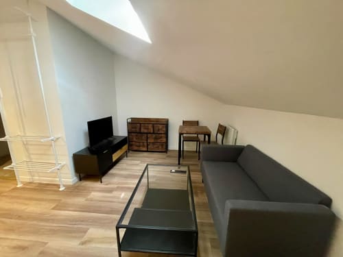 Studio moderne à l'Hôtel d'Angleterre Vittel avec canapé gris, meuble TV, mobilier bois et puits de lumière