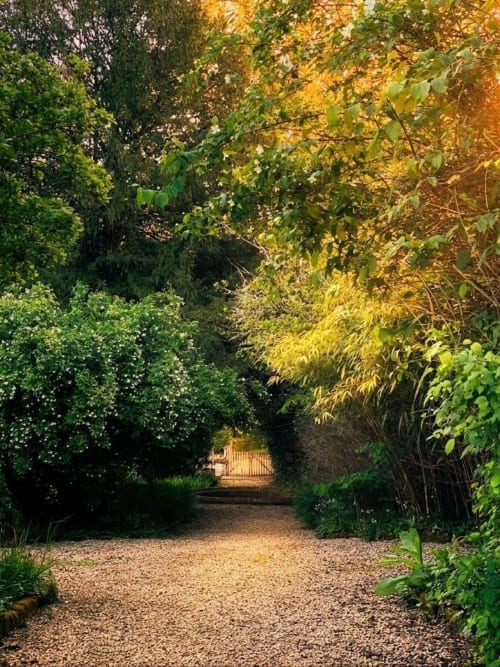Allée de gravier à travers la verdure luxuriante du Domaine de Belisle B&B à Magnac sur Touvre, France