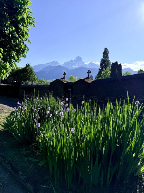 Jardin du cimetière alpin avec fleurs violettes à l'Hôtel le tilleul à Corps, France, sommets enneigés en arrière-plan