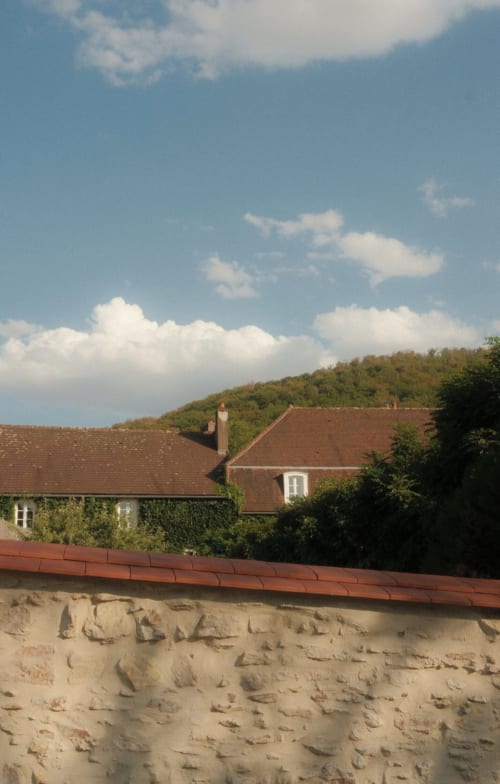 Hôtel Moulin Renaudiots à Autun avec toiture en terre cuite, murs couverts de lierre et forêt en arrière-plan