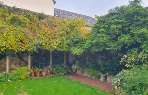 Lush garden at 2 Doves Holiday Property cottage in Exeter, with green lawn, climbing vines, potted plants, and shaded seating