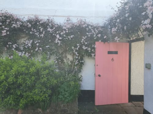 Pink door numbered 6 at Clara Place cottage in Exeter, framed by flowering vines and lush green garden