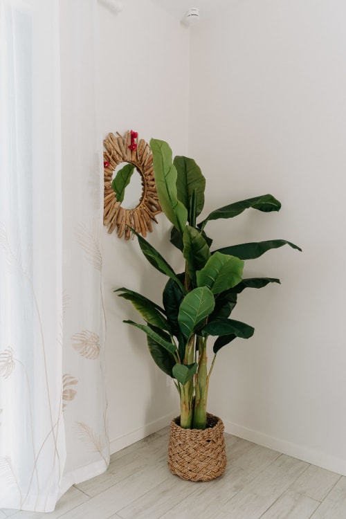 Potted plant with green leaves and woven circular decoration in modern apartment at Habitation I'SEO, Sainte-Anne Guadeloupe