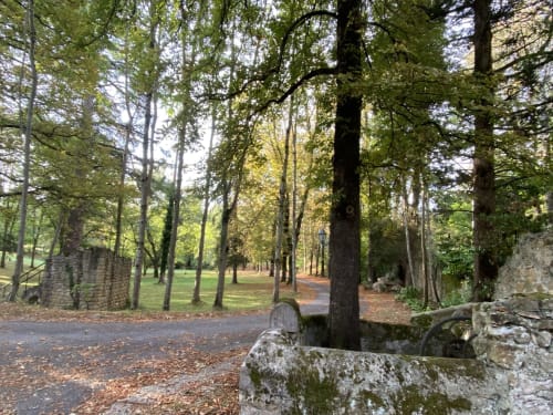 Baumallee durch das Gelände von Domaine de Bize in Mirepoix, Ariège, mit historischen Steinruinen und üppigen Parklandschaften