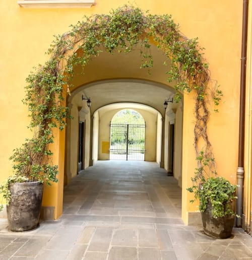 Arco ricoperto di edera nel palazzo storico di Bologna che conduce a una luminosa corte con cancellata in ferro