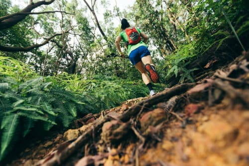 Corredor de trail saltando un tronco en el bosque cerca del alojamiento rural de Bronchales