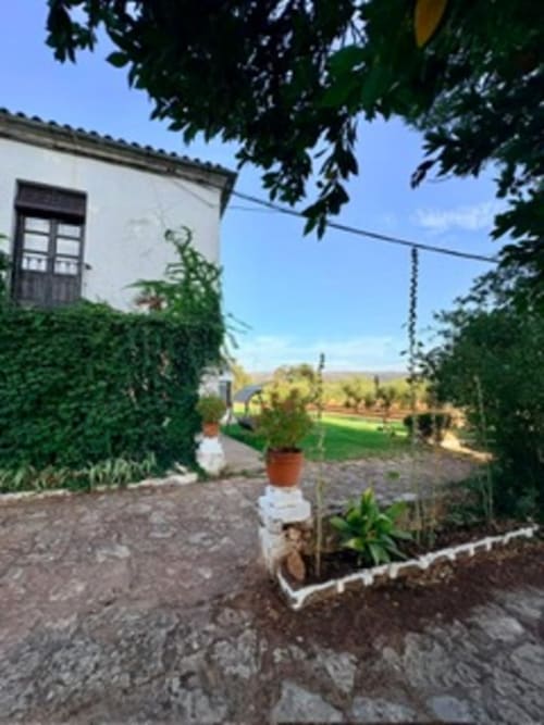 Patio del jardín en Holiday Dreams Ronda con edificio blanco, paredes cubiertas de hiedra, plantas en macetas y vistas a las montañas de Andalucía