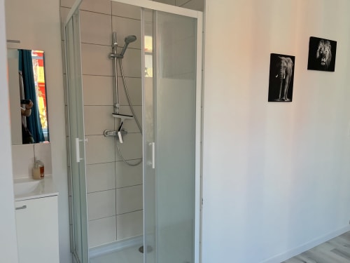 Salle de bain moderne à la Conciergerie-lilloise avec douche vitrée, murs en carrelage gris et photographies animalières en noir et blanc