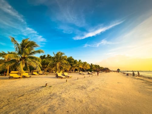 Playa tropical del Hotel Holbox Centro con arena dorada, palmeras, tumbonas y cielo azul cristalino en Holbox, México