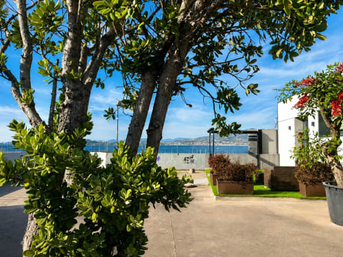 Terraza del apartamento de lujo Holibai en Baiona con vistas al mar, árboles frondosos y paisaje costero