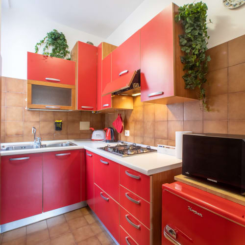 Moderna cucina rossa con fornello a gas, lavello e piante sospese nell'appartamento Ilary's House a Verona