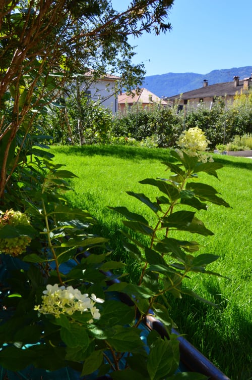 Rigoglioso giardino di Villa Rosati con fiori bianchi, prato verde e vedute montane a Sanzeno, Trentino