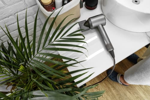 Sèche-cheveux sur le plan de travail de la salle de bain avec plante verte à La Grange Aux Etangs, Sennely