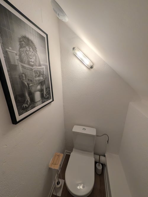 Clean bathroom toilet in cottage at Bi d'Grosseltere BnB, Kirrwiller, with framed lion artwork and modern lighting