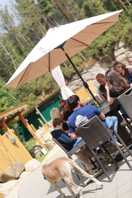 Family gathering under tan umbrella at Greenvale Cabins Newry outdoor patio with dog