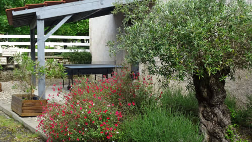 Patio du gîte avec fleurs rouges, vigne vierge, pergola et banc aux Gîtes De Petrocoriis, Boulazac