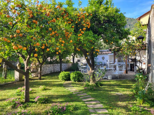 Lussureggiante giardino con alberi di arance mature presso la boutique hotel Relais Palazzo Cacace a Meta di Sorrento, Italia