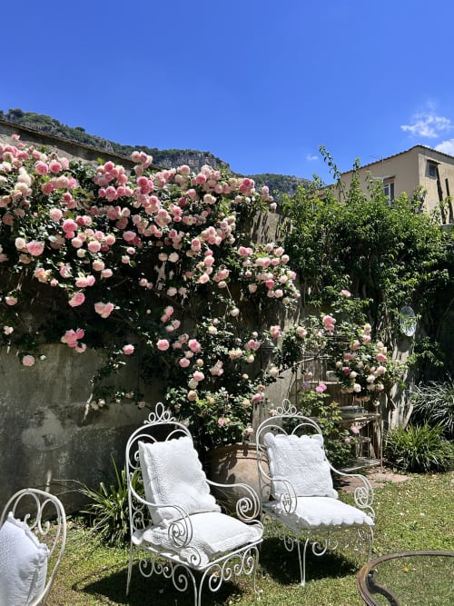 Eleganti sedie in ferro bianco con cuscini in lussureggiante giardino fiorito di rose rosa al Relais Palazzo Cacace, Meta di Sorrento