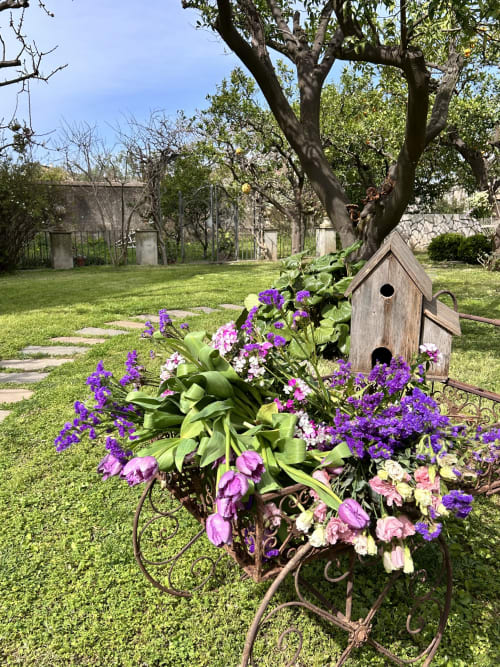 Colorata composizione floreale con casetta per uccelli nel giardino di Villa Relais Palazzo Cacace, Meta di Sorrento