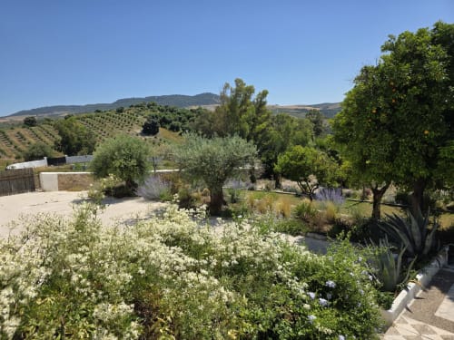 Jardín de Hacienda Las Lumbreras con olivos, flores blancas y colinas ondulantes en Montellano