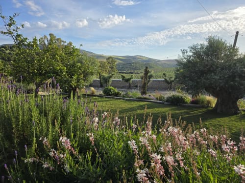 Jardín de Hacienda Las Lumbreras con flores en flor, colinas ondulantes y olivo en Montellano, España