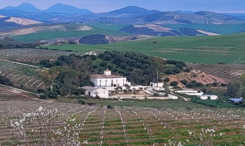 Hacienda Las Lumbreras rodeada de viñedos en Montellano, España, con colinas y montañas al fondo