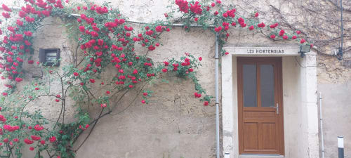 Entrée des Hortensias avec du bougainvillier magenta vibrant grimpant sur la façade en pierre rustique à Bourbonne-les-Bains