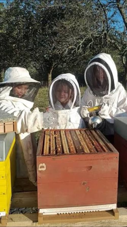 Trois apiculteurs en combinaisons blanches inspectant une ruche aux Hortensias, un charmant gîte de Champlitte, France.
