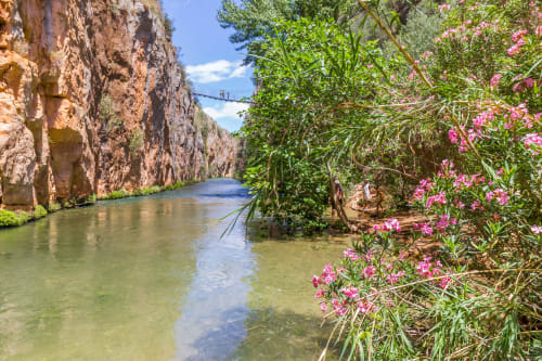 Chulilla gorge with turquoise river, pink flowers, and towering limestone cliffs under blue sky