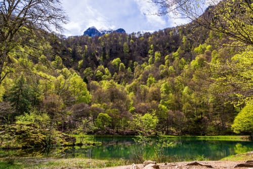 Paysage printanier pittoresque à Maison Crone avec montagnes boisées, arbres d'un vert éclatant et reflet sérein du lac