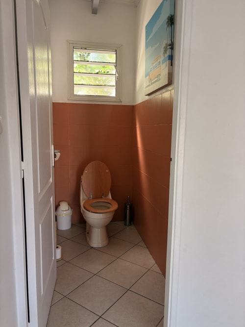 Bathroom at La Villa Maraloupia villa in Les Avirons with terracotta tiled walls, toilet, and window
