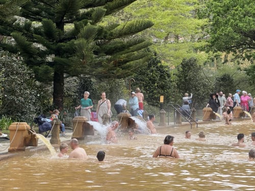 Guests enjoying the thermal pool at Golden Mermaid Villa in Ribeirinha, Portugal, surrounded by lush gardens