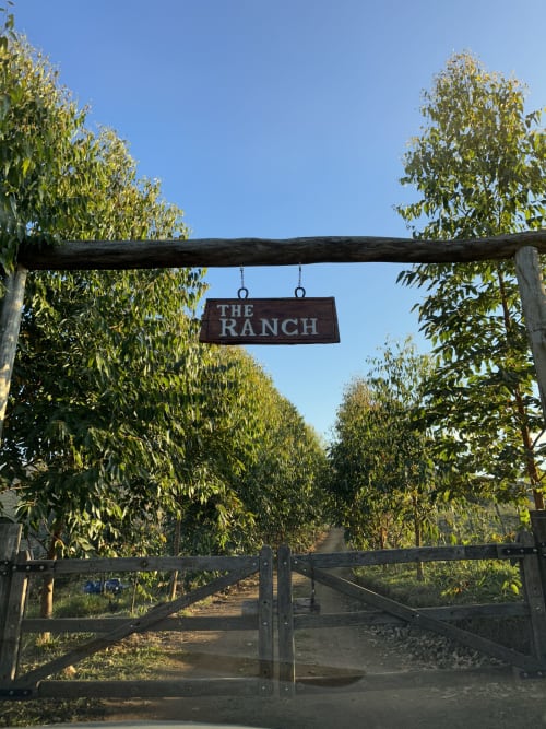 Placa de entrada do Projeto Quinta com portão rústico de madeira e caminho ladeado por árvores em Gonçalves, Brasil
