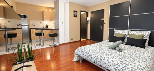Le Cocon studio at NN Patrimoine, Douvaine: open-plan bedroom with kitchen, wooden floor, queen bed, and modern amenities