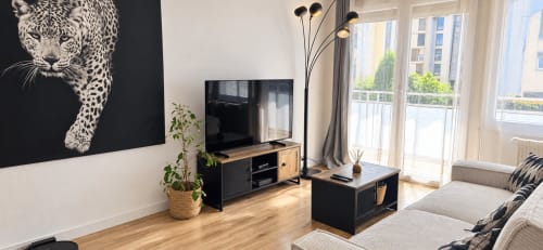 Modern living room at NN Patrimoine hotel in Annemasse with leopard wall art, flat-screen TV, and city balcony view