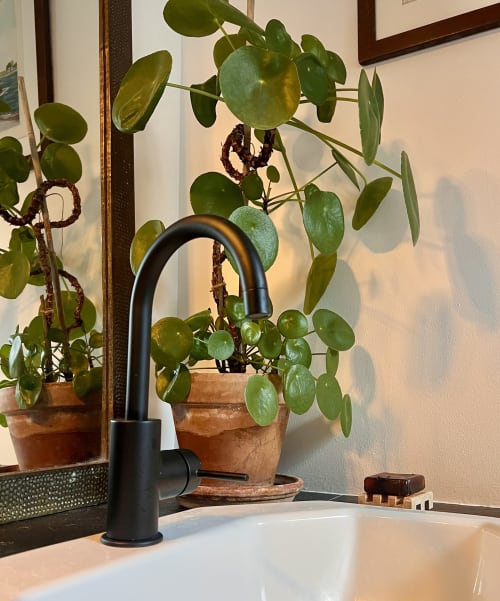 Robinet noir moderne et plantes en pot dans le lavabo de la salle de bain aux Anciennes écuries du Château, Boissy-Saint-Léger