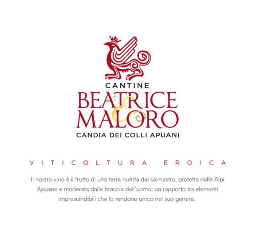 Etichetta di vino Cantine Beatrice Maloro da Candia dei Colli Apuani, Toscana vicino Seravezza