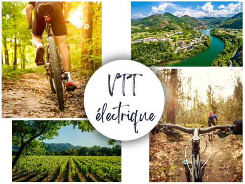 Aventuras en e-bike cerca de Serrières-sur-Ain: senderos, viñedos y paisajes escénicos