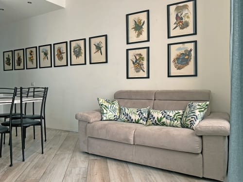 Divano grigio con cuscini decorati nell'appartamento Nestco Milano, opere d'arte con uccelli alle pareti