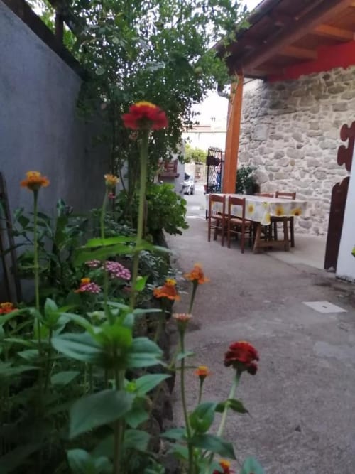 Affascinante cortile del B&B Daddanca ad Ales con fiori colorati, tavolo da pranzo, muri in pietra e rampicanti