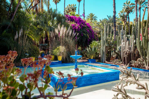 Blue pool surrounded by cacti, magenta bougainvillea, and palm trees at Riad Casa Angelo, Marrakech