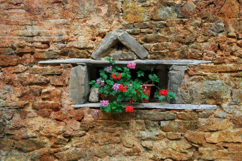Géraniums colorés en fleur dans un bac à fleurs en pierre rustique à La Maison & l'Orangerie, Saint-Jean-des-Vignes