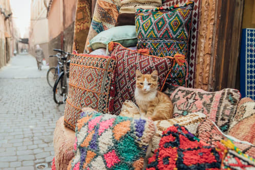 Orange tabby cat among colorful Moroccan rugs and textiles at Riad Casa Angelo in Marrakech's medina alley