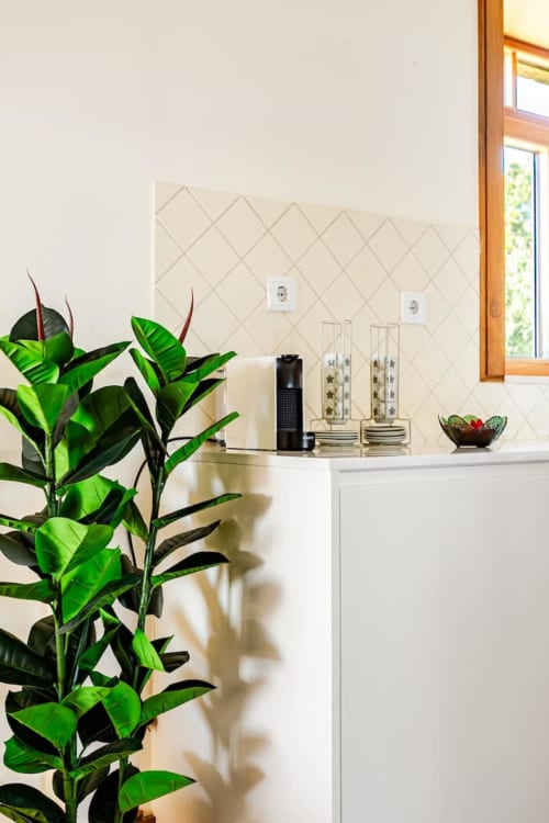 Modern cottage kitchen corner at Casa dos Vasconcelos in Chaves with decorative plants and stainless steel appliances