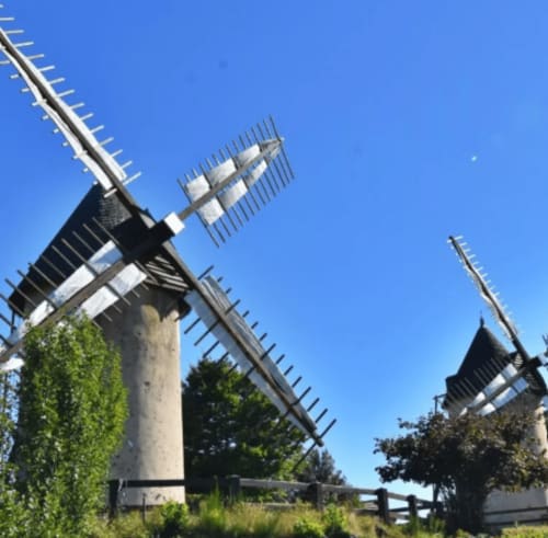 Moulins historiques aux voiles blanches de la maison d'hôtes Le Petit Moulin à Pouzauges, France