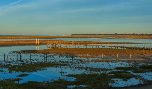 Passerelle pittoresque de la zone humide du Petit Moulin à Pouzauges, avec chemins en bois se reflétant dans l'eau bleue