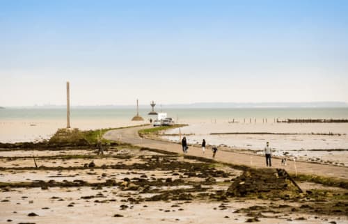 Paysage de plage côtière au Petit Moulin à Pouzauges avec rivage sablonneux, poteaux en bois et visiteurs explorant la zone de marée